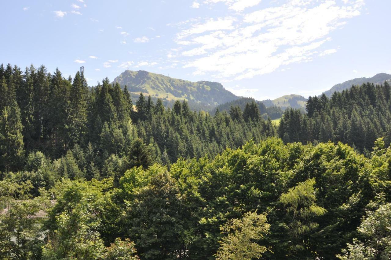 Appartement Kitzbuehel Mit Dachterrasse Екстериор снимка