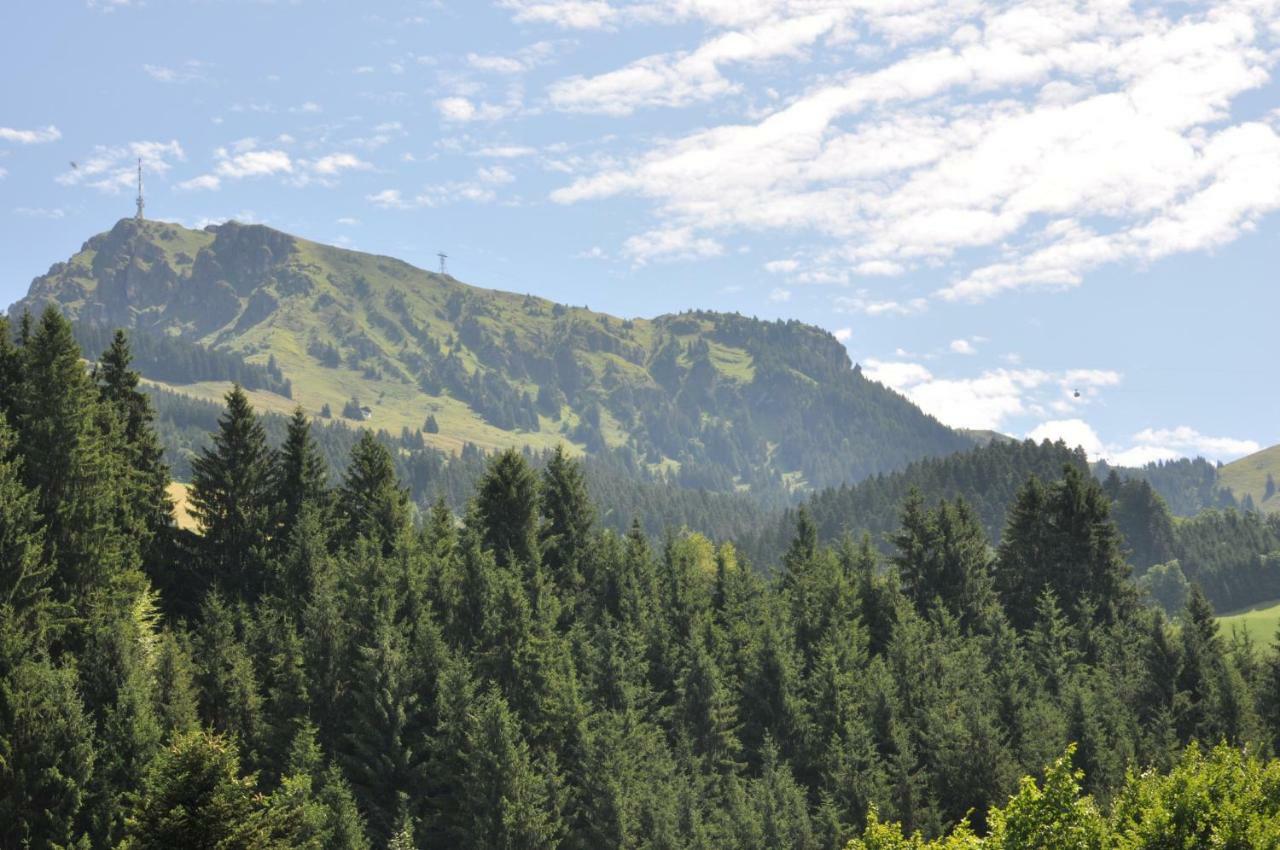 Appartement Kitzbuehel Mit Dachterrasse Екстериор снимка